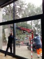 Fenster